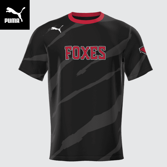 Stock photo of Puma esports uniform